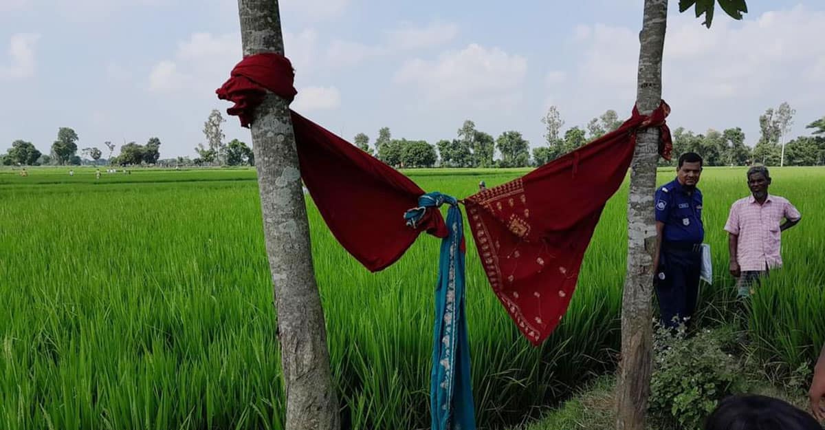 ধানখেতে মিলল অন্তঃসত্ত্বা তরুণীর বিবস্ত্র মরদেহ, পোশাক গাছে