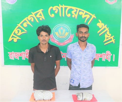 রাজশাহী মহানগরীতে ৫০০ গ্রাম গাঁজাসহ ২ মাদক ব্যবসায়ী গ্রেফতার