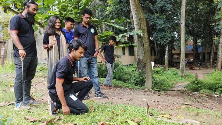 তারা সবাই সাপ ধরেন