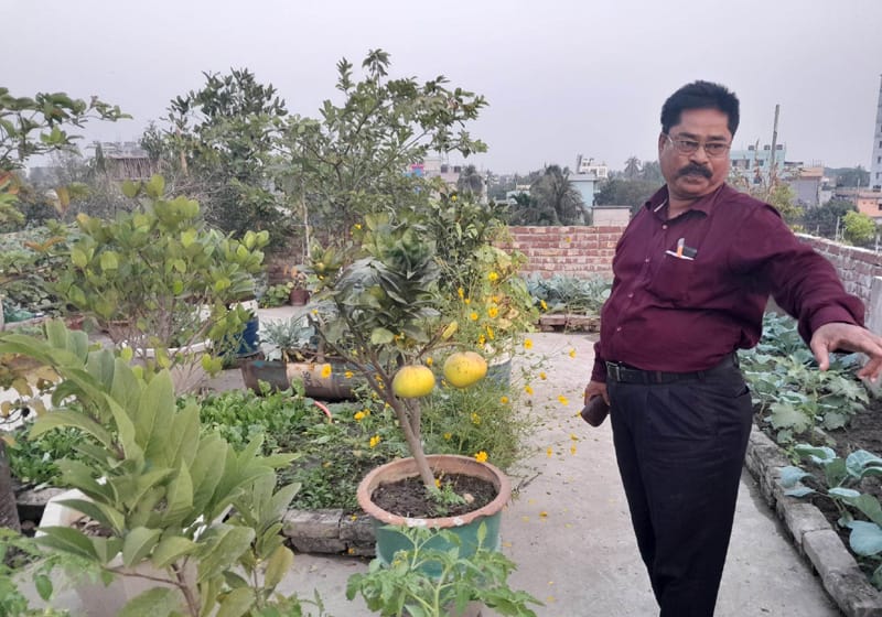 বিবি হিন্দু একাডেমির ছাদে প্রধান শিক্ষকের দৃষ্টিনন্দন সবুজ বাগান